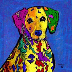 RAINBOW DALMATION 